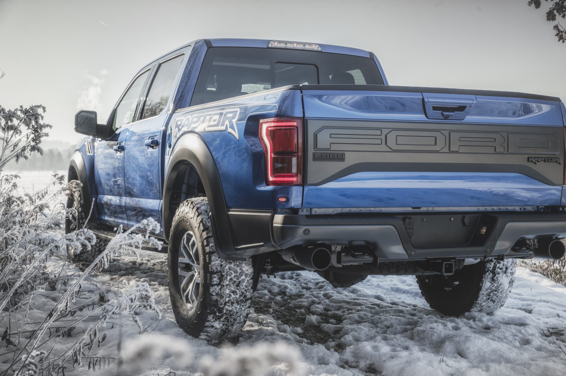 Ford F 150 Raptor Peicher Automotive