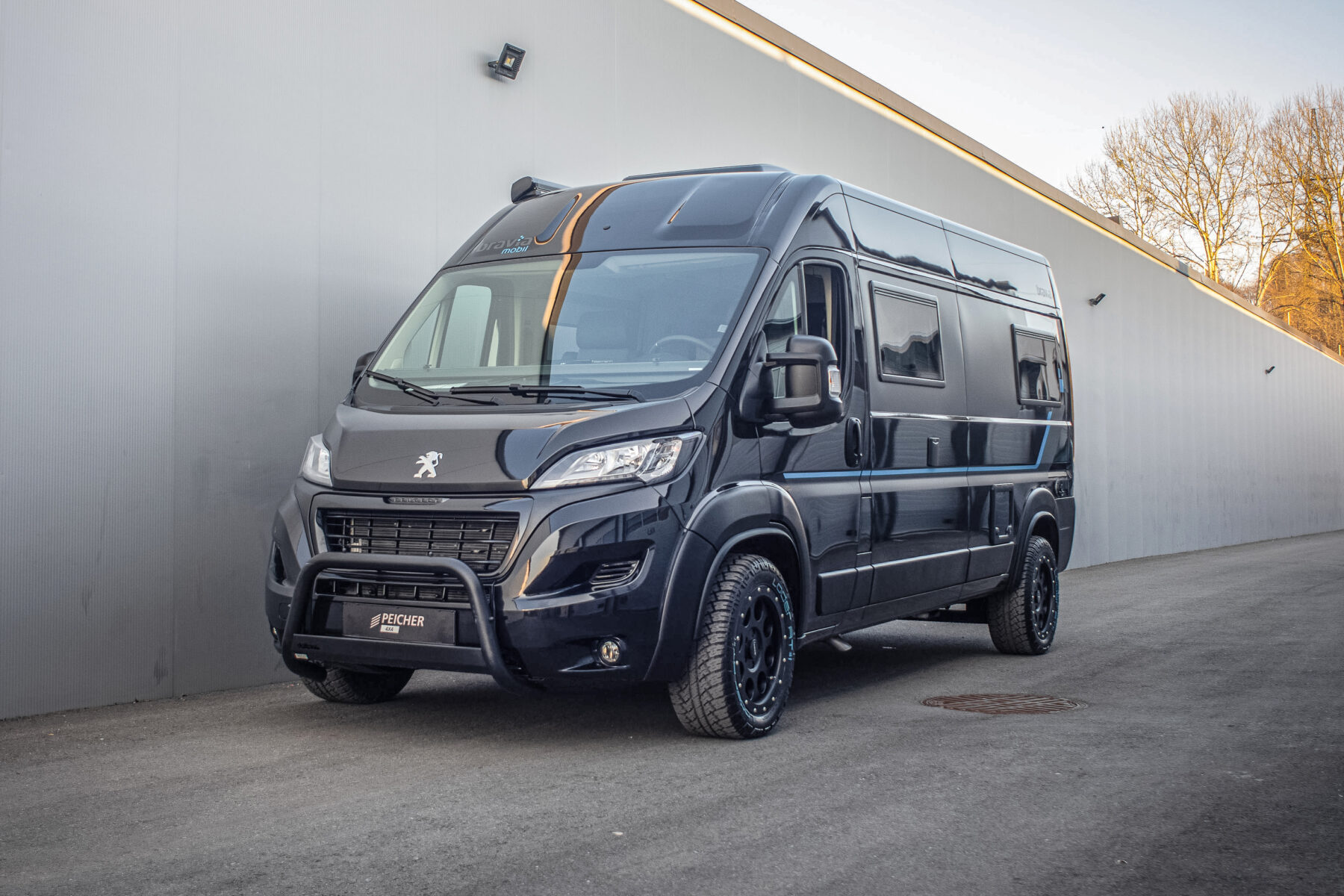 Bravia Mobil Swan 599 Trend 4x4 Umbau
