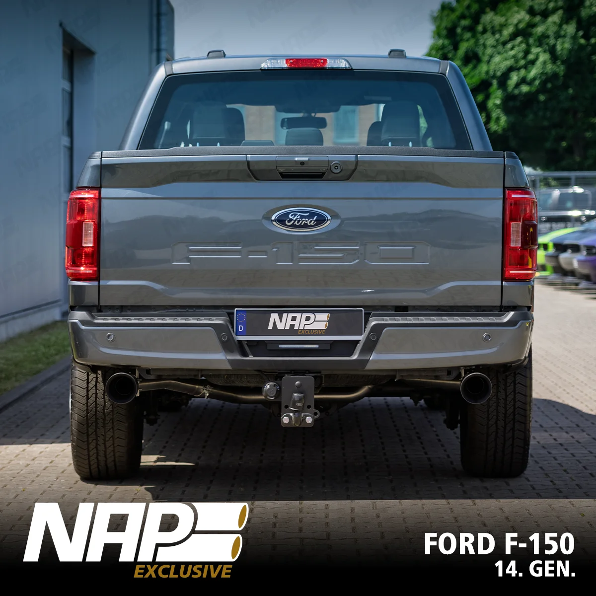 NAP Sportauspuff Ford F-150 (Gen. 14)